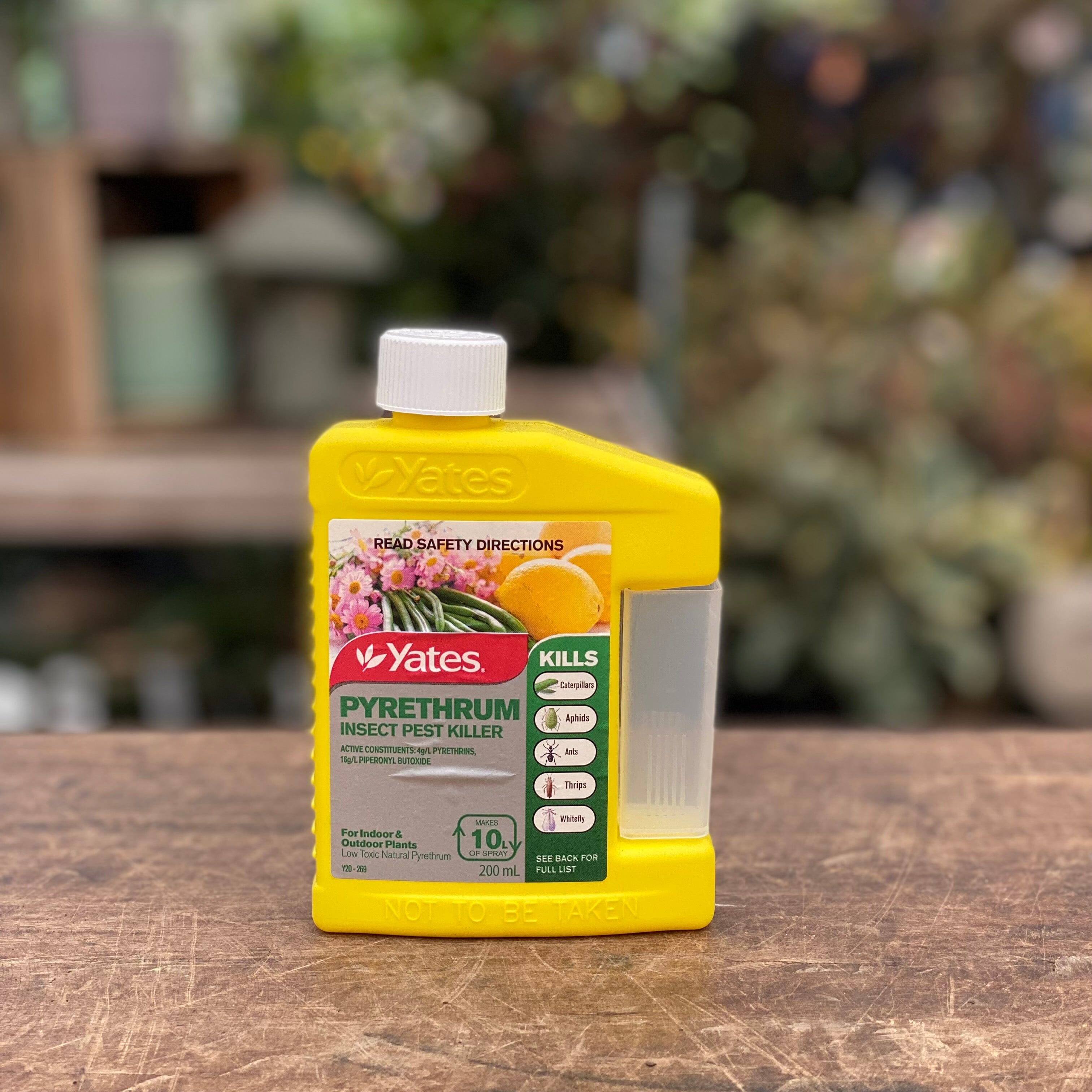 Yates Pyrethrum Insecticide 200ml Plant care Brookfield Gardens