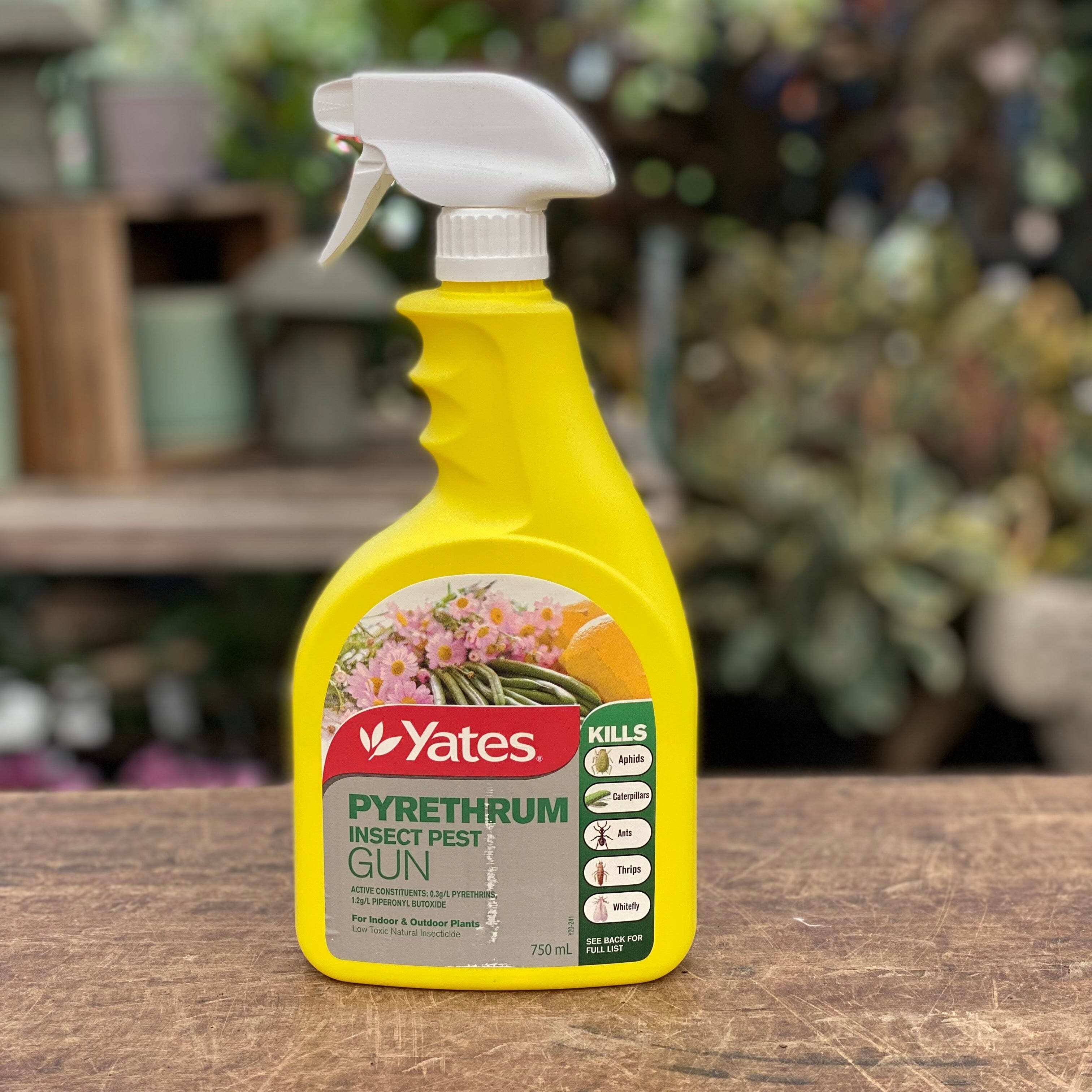 Yates Pyrethrum Spray RTU 750ml Plant care Brookfield Gardens